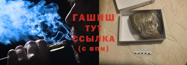 индика Баксан