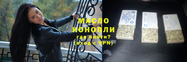 индика Баксан