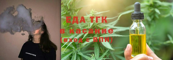 индика Баксан