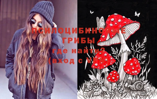 индика Баксан