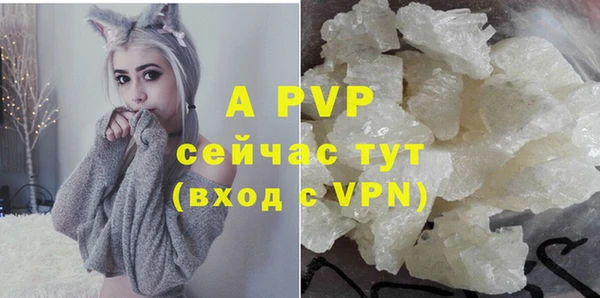 ECSTASY Балахна